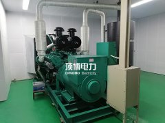 柴油發(fā)電機(jī)組排放的廢氣有哪些危害性？
